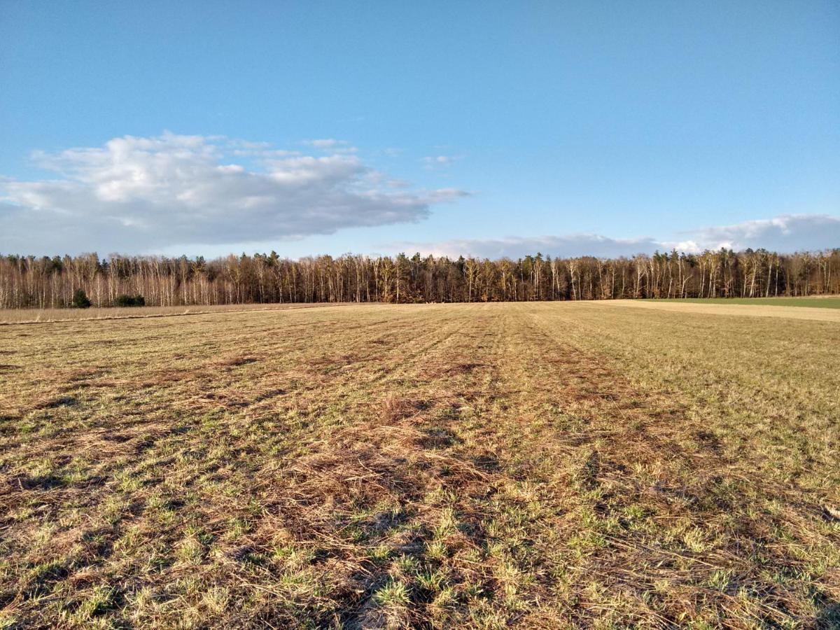 Agroturystyka Pod Czarna Sosna Bialy Lug Exteriör bild