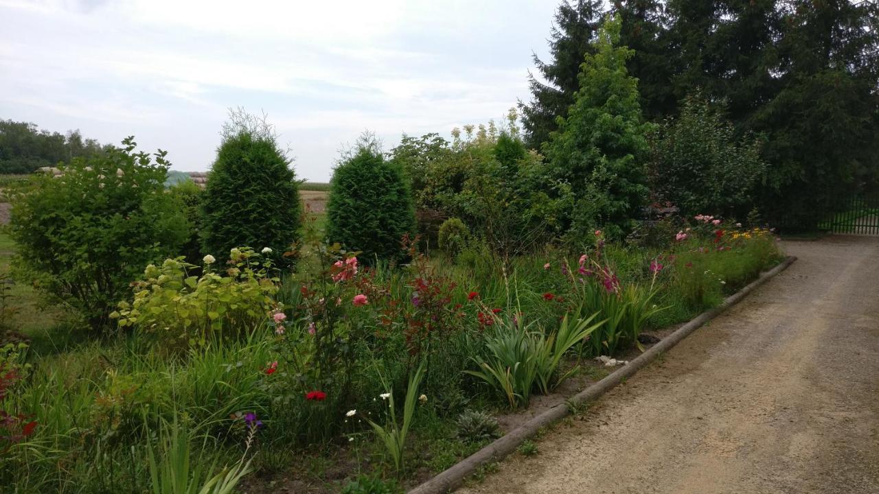 Agroturystyka Pod Czarna Sosna Bialy Lug Exteriör bild