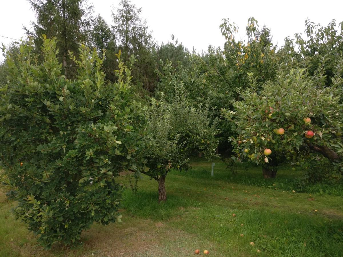 Agroturystyka Pod Czarna Sosna Bialy Lug Exteriör bild